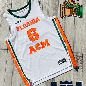 Nike LeBron James Florida A&M Rattlers #6 Men's Jersey White Size L